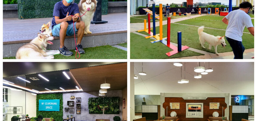 Fun Things to Do at SM CDO Downtown Premier: Bond & Play with Fur Babies or Work from Mall at the New Co-Working Space